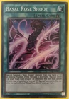 Big Shield Gardna
