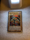 Berserk Dragon