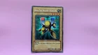 Valkyrion the Magna Warrior