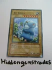 Big Koala