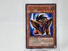 Big Shield Gardna