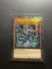 Black Dragon's Chick