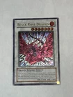 Black Rose Dragon