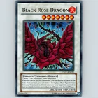 Black Rose Dragon