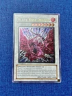 Black Rose Dragon