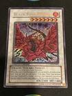 Black Rose Moonlight Dragon