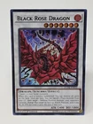 Black Rose Dragon