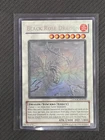 Black Rose Dragon