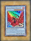 Black Rose Moonlight Dragon