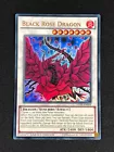 Black Rose Dragon