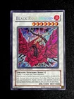 Black Rose Moonlight Dragon