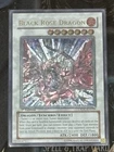Black Rose Dragon
