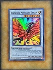 Black Rose Moonlight Dragon
