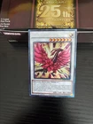 Black Rose Moonlight Dragon