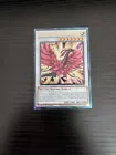 Black Rose Moonlight Dragon