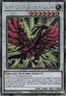 Black Rose Moonlight Dragon