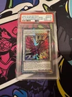 Black Rose Moonlight Dragon