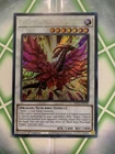 Black Rose Moonlight Dragon