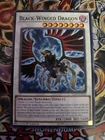 Black Wing Revenge