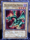 Baby Dragon