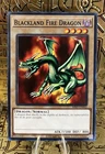 Blackland Fire Dragon