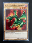 Blackland Fire Dragon