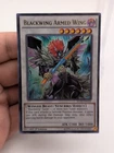 Blackwing - Zephyros the Elite