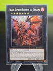 Blaze, Supreme Ruler of all Dragons