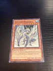 Blizzard Dragon