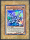 Coral Dragon
