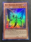 Blue Mountain Butterspy