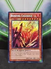 Bonfire Colossus
