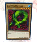 Bottom Dweller