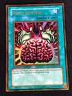 Dark Magician Girl