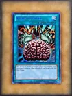 Brain Control