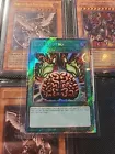 Brain Control