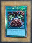 Brain Control