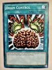 Brain Control