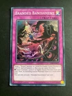 Branded Banishment
