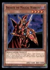 Breaker the Magical Warrior