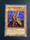 Breaker the Magical Warrior