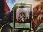 Brotherhood of the Fire Fist - Tiger King