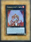 Brotherhood of the Fire Fist - Tiger King