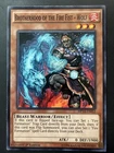Brotherhood of the Fire Fist - Hawk