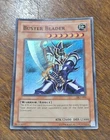 Buster Blader