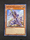 Destiny HERO - Destroyer Phoenix Enforcer