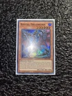 Muddy Mudragon