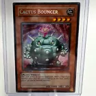 Cactus Bouncer