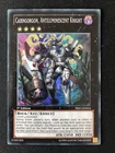 Cairngorgon, Antiluminescent Knight