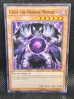 Caius the Shadow Monarch